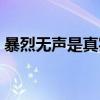 暴烈無聲是真實事件改編嗎（暴烈無聲結局）