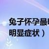 兔子懷孕最明顯癥狀圖片 發(fā)抖（兔子懷孕最明顯癥狀）