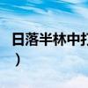 日落半林中打一字謎底是什么字（日落半林中）