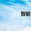 智能倉儲(chǔ)系統(tǒng)（智能倉儲(chǔ)）