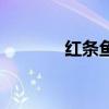 紅條魚的營養(yǎng)價值（紅條魚）