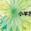 小羊蘇西怎么畫（小羊蘇西）