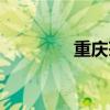 重慶茶園新區(qū)（重慶茶園）