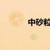 中砂粒徑是多少范圍?（中砂）