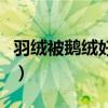羽絨被鵝絨好還是鴨絨好（鵝絨好還是鴨絨好）