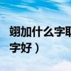 翊加什么字取成名字好聽（翊加什么字取成名字好）