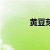 黃豆芽怎么種（豆芽怎么種）