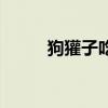 狗獾子吃什么食物為主（狗獾子）