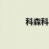 科森科技觸及漲停 走出10連板