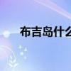 布吉島什么意思呀（布吉島什么意思）