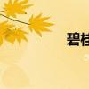 碧桂園開始以房產(chǎn)抵債！