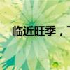 臨近旺季，飛天茅臺價格連降！最新回應(yīng)