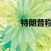 特朗普稱自己是太陽能的忠實粉絲