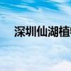 深圳仙湖植物園地鐵幾號(hào)線(xiàn)（深圳仙湖）