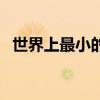 世界上最小的魚第一名（世界上最小的魚）
