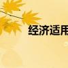 經(jīng)濟適用男 電視?。ń?jīng)濟適用男）