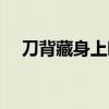 刀背藏身上映時間（刀背藏身宣布撤檔）