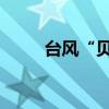 臺(tái)風(fēng)“貝碧嘉”已經(jīng)進(jìn)入南京市內(nèi)