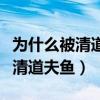 為什么被清道夫清理過的魚會死（為什么要殺清道夫魚）