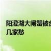 陽澄湖大閘蟹被臺風(fēng)集體吹“越獄”？蟹農(nóng)回應(yīng)：幾家幸運(yùn)幾家愁