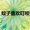 蚊子喜歡叮咬哪些人（蚊子喜歡叮咬什么人）