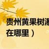 貴州黃果樹(shù)瀑布在哪里預(yù)約（貴州黃果樹(shù)瀑布在哪里）