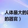 人體最大的器官是哪個(gè)?除了皮膚（人體最大的器官）