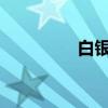 白銀有色：董事許齊辭職