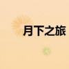 月下之旅：月夜游、短途游、文藝游
