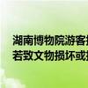 湖南博物院游客掉手機(jī)砸壞辛追夫人棺槨下方玻璃，律師：若致文物損壞或擔(dān)刑責(zé)