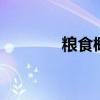 糧食概念走強 京糧控股漲停