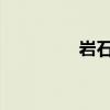 巖石股份盤中上演地天板