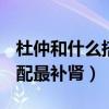 杜仲和什么搭配最補腎- 搜索（杜仲和什么搭配最補腎）
