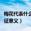 梅花代表什么象征意義作文（梅花代表什么象征意義）