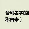 臺風名字的由來都怎么規(guī)定的2019（臺風名稱由來）