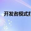 開發(fā)者模式打開有什么影響（開發(fā)者模式）
