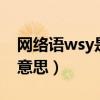 網(wǎng)絡(luò)語(yǔ)wsy是什么意思（網(wǎng)絡(luò)用語(yǔ)wswl什么意思）