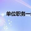 單位職務一般填什么（職務一般填什么）