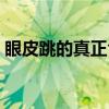 眼皮跳的真正含義時(shí)間（眼皮跳的真正含義）
