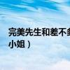 完美先生和差不多小姐電視劇劇情介紹（完美先生和差不多小姐）