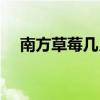 南方草莓幾月份成熟（草莓幾月份成熟）