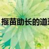揠苗助長(zhǎng)的道理20字左右（揠苗助長(zhǎng)的道理）