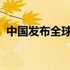 中國(guó)發(fā)布全球首個(gè)百億級(jí)遙感解譯基礎(chǔ)模型