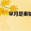 羋月是秦始皇的什么人（秦始皇是誰）