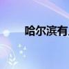 哈爾濱有幾個區(qū)（哈爾濱幾線城市）