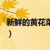 新鮮的黃花菜有沒(méi)有毒（新鮮的黃花菜有毒嗎）