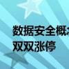 數(shù)據(jù)安全概念持續(xù)活躍 國(guó)華網(wǎng)安、大唐電信雙雙漲停