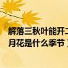解落三秋葉能開(kāi)二月花是什么季節(jié)的詩(shī)（解落三秋葉能開(kāi)二月花是什么季節(jié)）