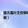 接天蓮葉無(wú)窮碧映日荷花別樣紅是什么季節(jié)（接天蓮葉無(wú)窮碧）
