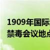 1909年國際禁毒日會(huì)議地點(diǎn)（1909年國際性禁毒會(huì)議地點(diǎn)）